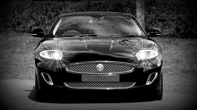 Jaguar in het donker